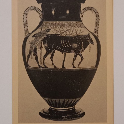 Postcard of Greek Vessel Herakles and the Cretan Bull used, Attic black-figure amphora