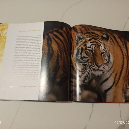 The Encyclopedia of Animals Volume 3 used, The Tiger and the World of Felines