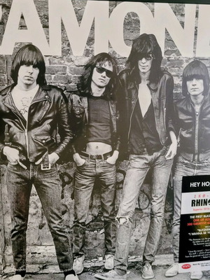 Ramones 1976 Reissue 180gr Vinyl New Mint Sealed