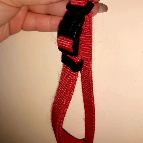 Small dog collar new, red