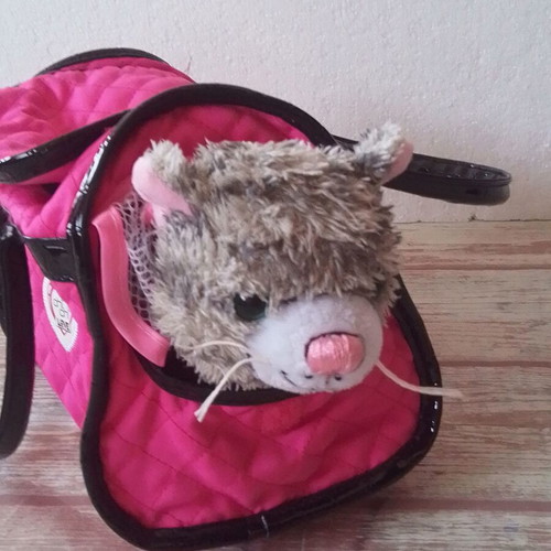 Chi Chi Love Cat Carrying Bag like new