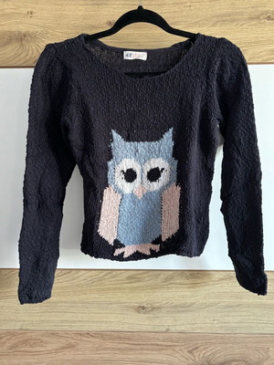 Knitted sweater with owl H&M like new, multicolor, size 170 cm