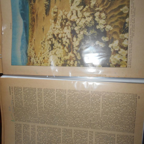 Forestry archive used with 40 lithograph clippings and articles from 1950s