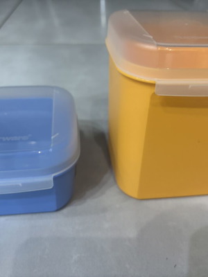 Tupperware canister in two colors