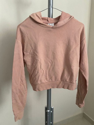 Dusty Pink Cropped Hoodie H&M XS used