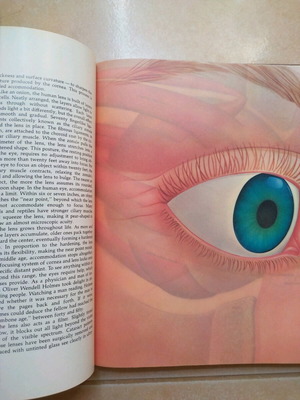 The Eye Window to the World του Larl Wertenbaker σκληρόδετο βιβλίο μεταχειρισμένο, αγγλικό