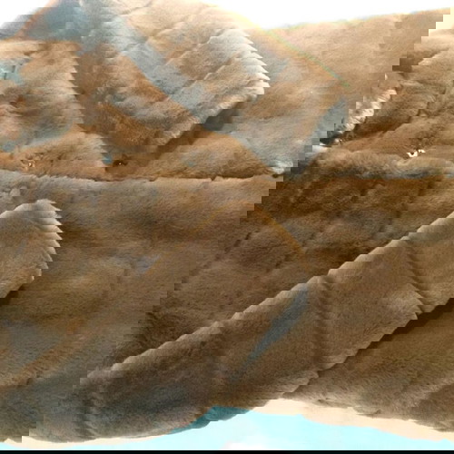 Πανωφόρι faux fur με κουκούλα καινούργιο, καφέ, one size