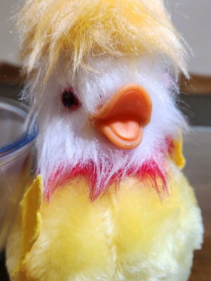 Collectible plush duck inside Easter egg used