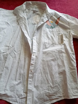 Disney Zara white shirt like new, size 146 cm