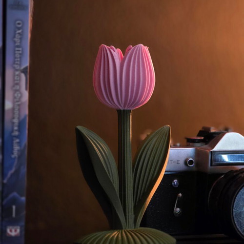 Decorative tulip new with ribbed texture