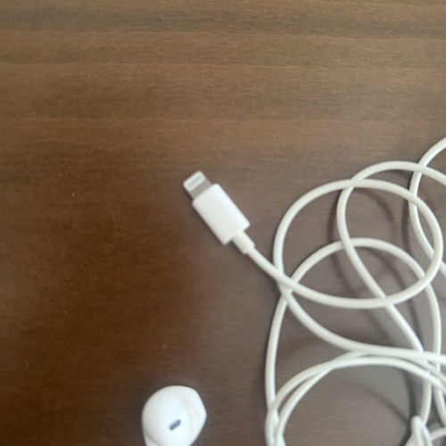 Apple wired headphones used with flat connector for iPhone 13 and below