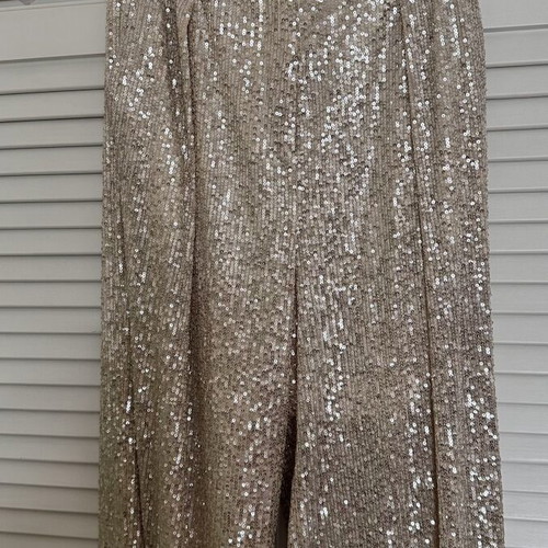 Rococo sequin pants medium beige like new