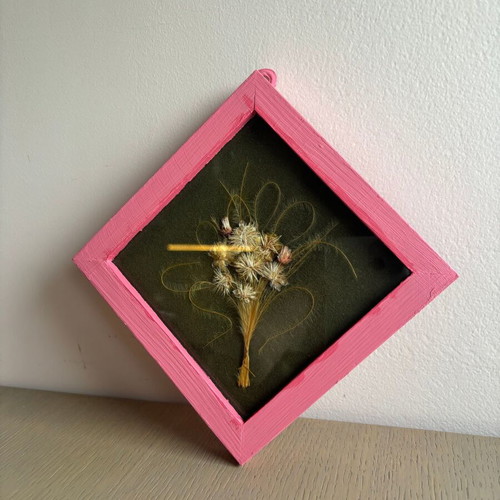 Herbarium used, framed picture with glass