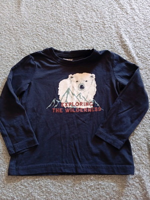 Unisex Lupilu shirt like new for ages 2-4