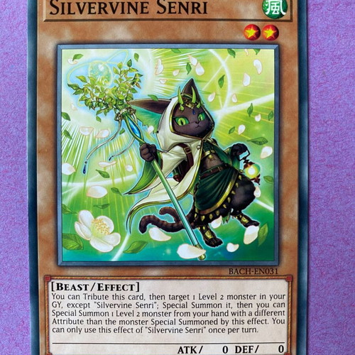 Silvervine Senri Yu-Gi-Oh! Card 1st Edition Near Mint