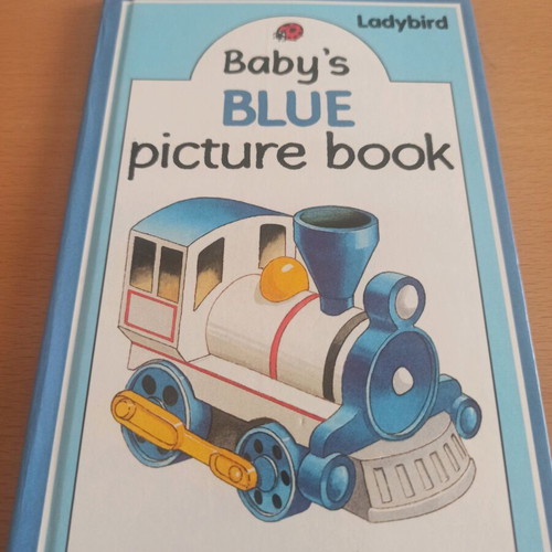 Baby's Blue Picture Book like new, English, hardcover