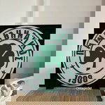  Διακοσμητικό με το έμβλημα του Παναθηναϊκού