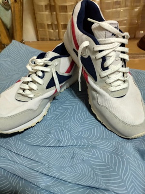 Αθλητικά Reebok μεταχειρισμένα, μέγεθος 43, άσπρα