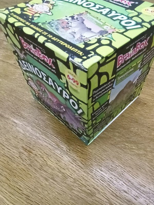 Brainbox Dinosaurs Educational Game like new