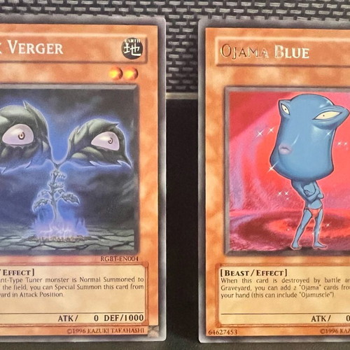 Yu-Gi-Oh! TCG Two Rares from Raging Battle NM Condition