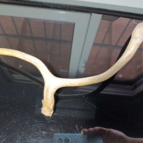 Natural Deer Antler used, length 39.5cm