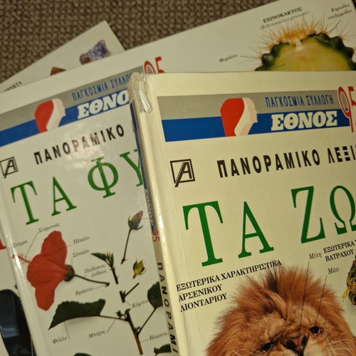Panoramic Lexiko Collection of 6 Illustrated Volumes used