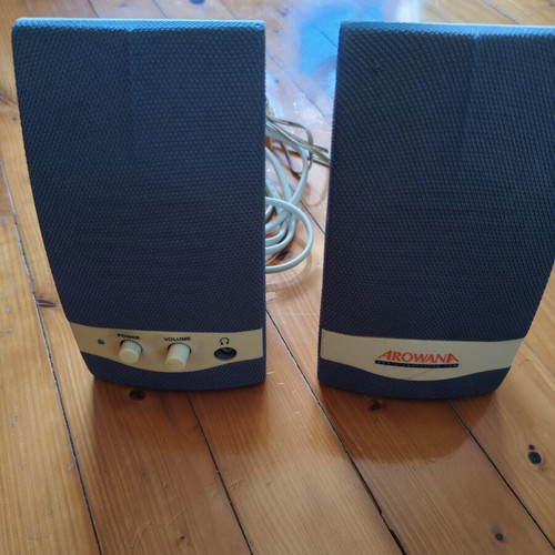 PC speakers used, economical option for beginners