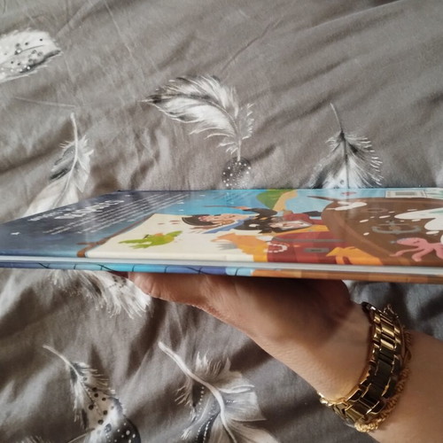 Pirate Stories children's book used, 3+ years