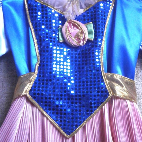 Princess Pink Carnival Costume new, for 10-year-old girl