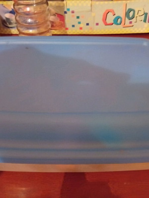 Large rectangular tupper used