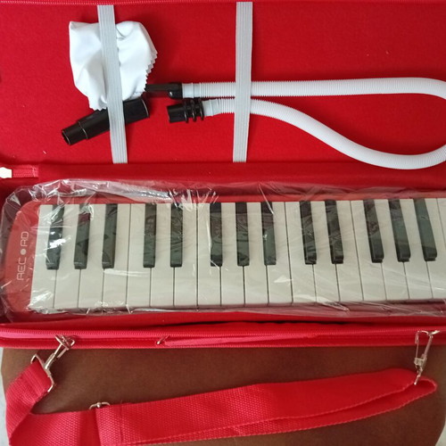 Record Melodica like new with case and two mouthpieces