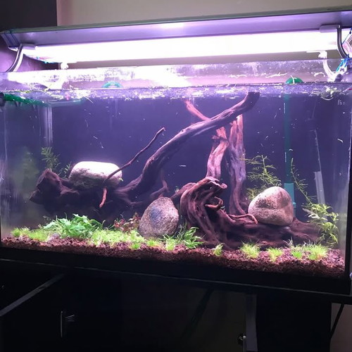 120L Aquarium with Wooden Stand and Complete Setup