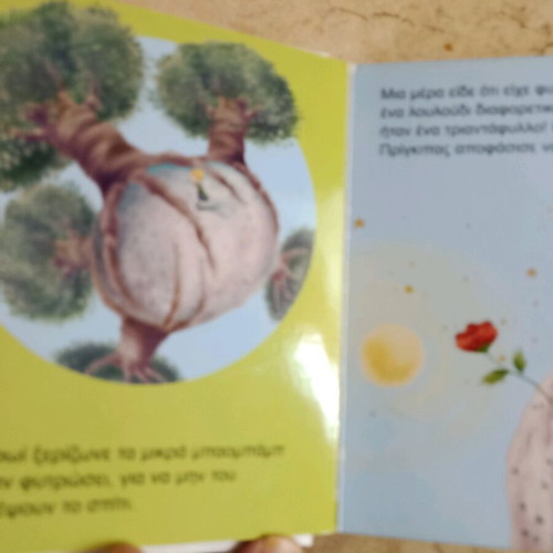 The Little Prince book like new, small edition for children