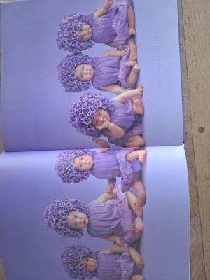 Anne Geddes art books set of 2 used with music CD