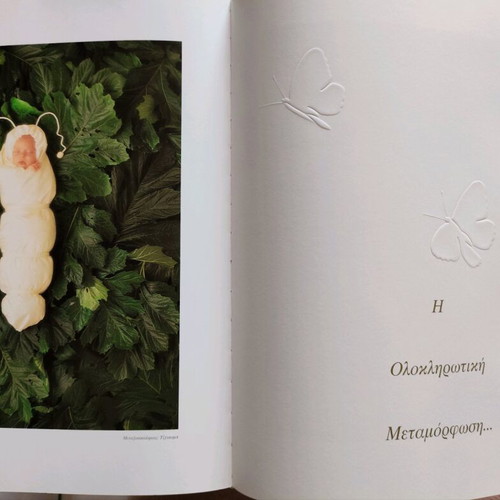 The Garden Treasures Anne Geddes book like new