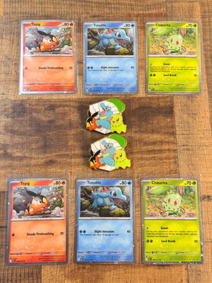 Pokemon Bundle σαν καινούργιο με 2 Deluxe καρφίτσες και 6 Promo κάρτες Tepig, Totodile, Chikorita
