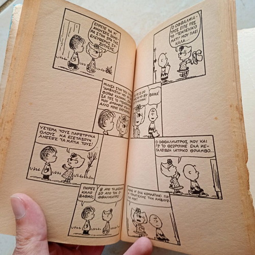 Snoopy! Are you crazy?