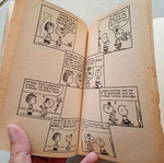Snoopy! Are you crazy?