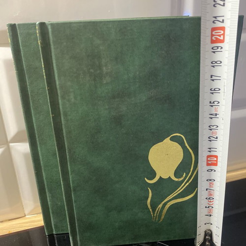 Knut Hamsun novels like new, two leather-bound books