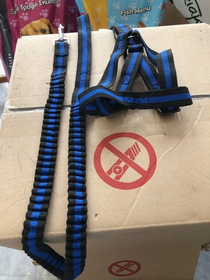 Dog harness Net with leash L 25mm x 150cm chest circumference 60-80cm new