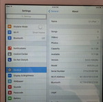 iPad mini Wi-Fi tablet with screen lines