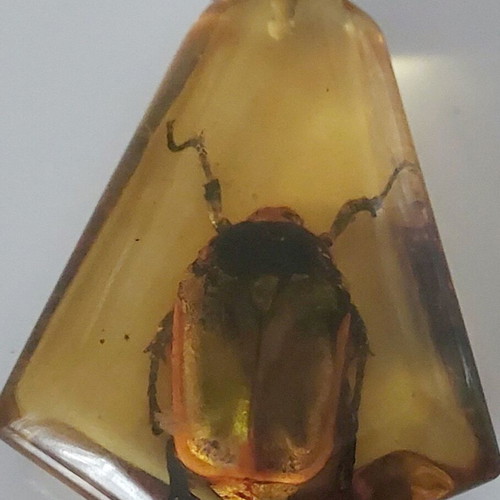 Pendant from synthetic amber with beetle inside like new