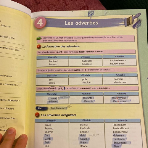 French Grammar Book like new