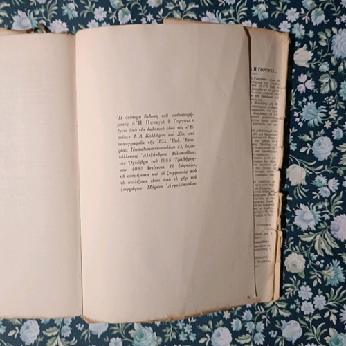 The Panagia Gorgona novel used