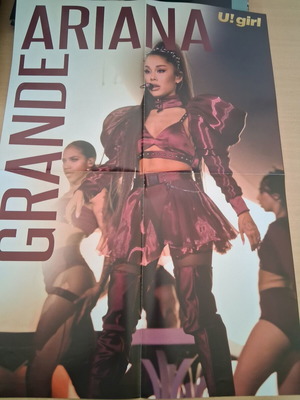 Ariana Grande giant poster