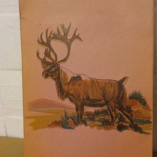 Complete Zoological World book like new, Greek