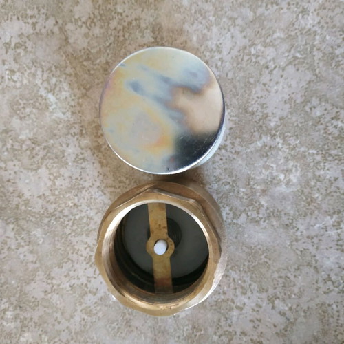 Check valve 2" like new