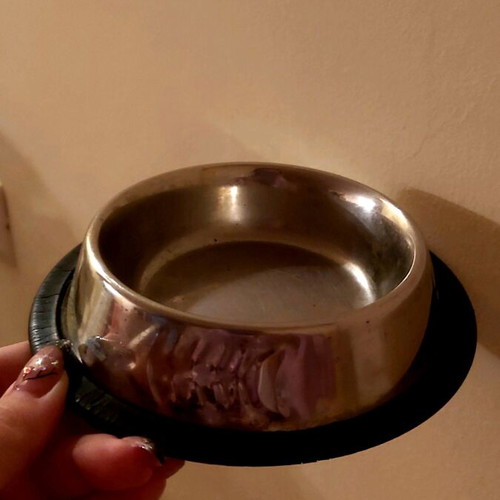 Small pet bowl used, stainless steel with non-slip base