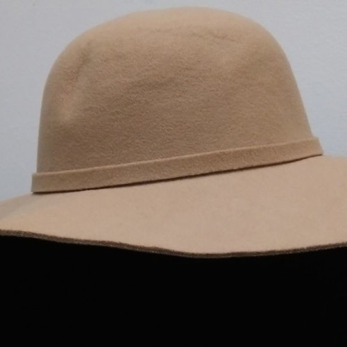 Felt hat with wide brim