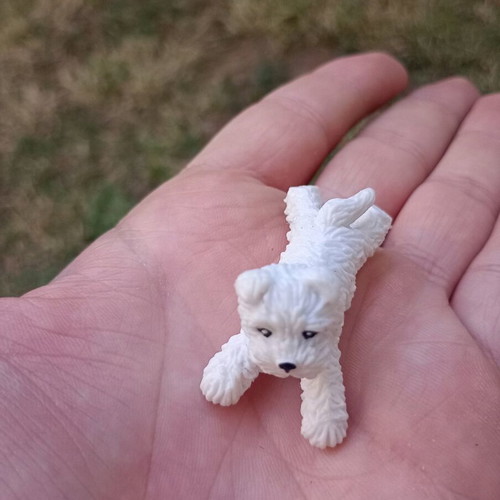 White Terrier miniature used
